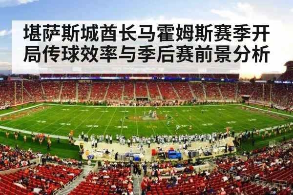 NFL football stadium action